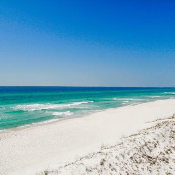 Live Webcams Of Panama City Beach